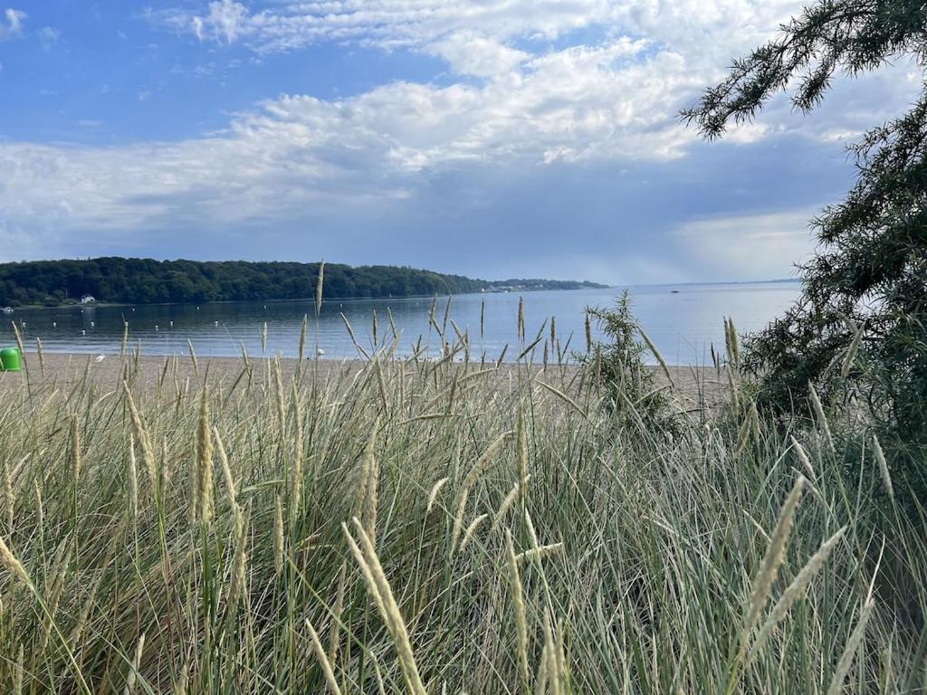 'Kapitaenslounge' Vollsanierte Fewo Mit Blick Auf Die Flensburger Foerde Гаррісле Екстер'єр фото