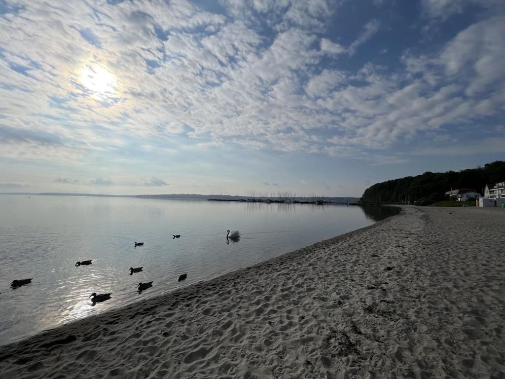 'Kapitaenslounge' Vollsanierte Fewo Mit Blick Auf Die Flensburger Foerde Гаррісле Екстер'єр фото