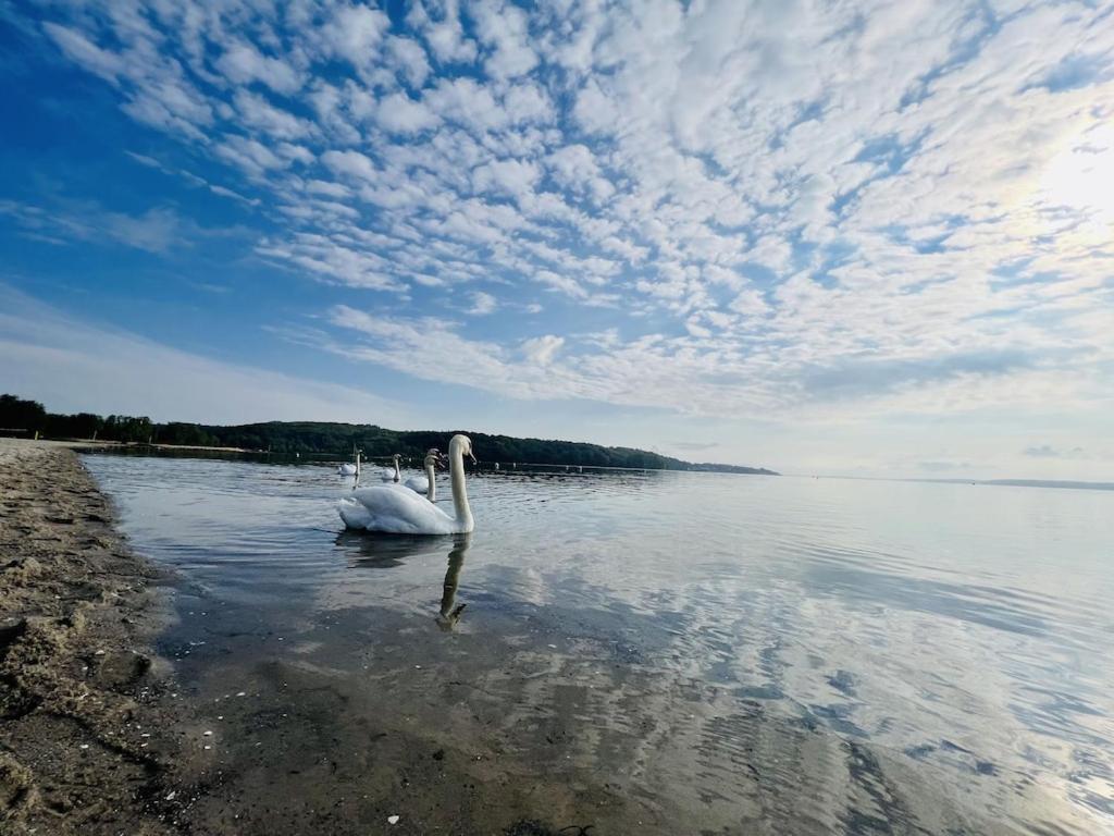 'Kapitaenslounge' Vollsanierte Fewo Mit Blick Auf Die Flensburger Foerde Гаррісле Екстер'єр фото